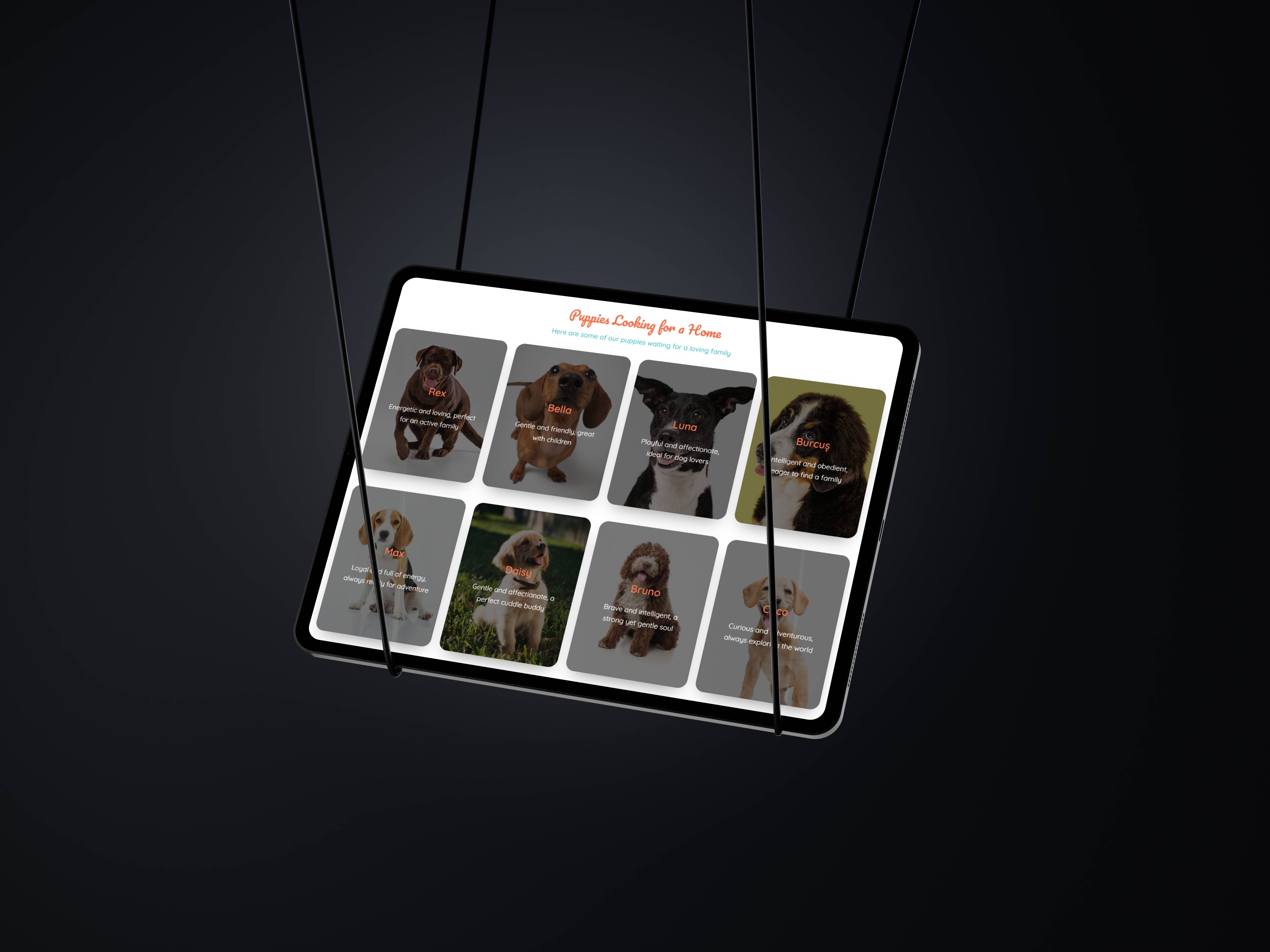 help the dogs website